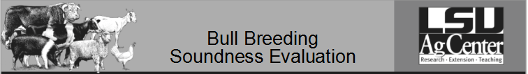 Bull Breeding Soundness Evaluation.png thumbnail